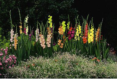 《守望先锋2》公布新英雄“朱诺” 8月21日正式上线